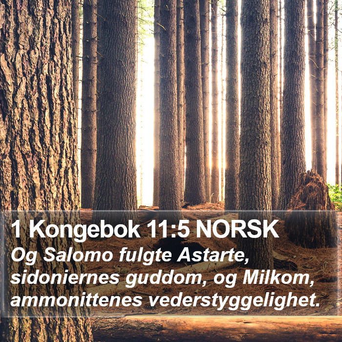 1 Kongebok 11:5 NORSK Bible Study