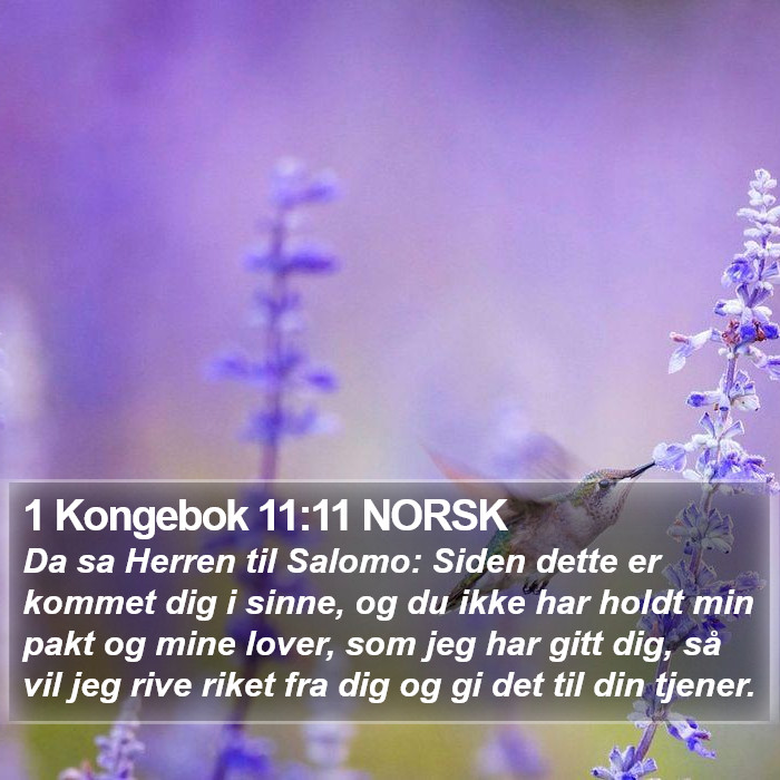 1 Kongebok 11:11 NORSK Bible Study