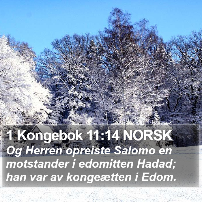 1 Kongebok 11:14 NORSK Bible Study