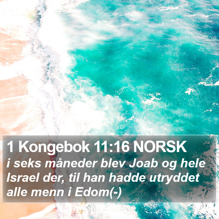 1 Kongebok 11:16 NORSK Bible Study