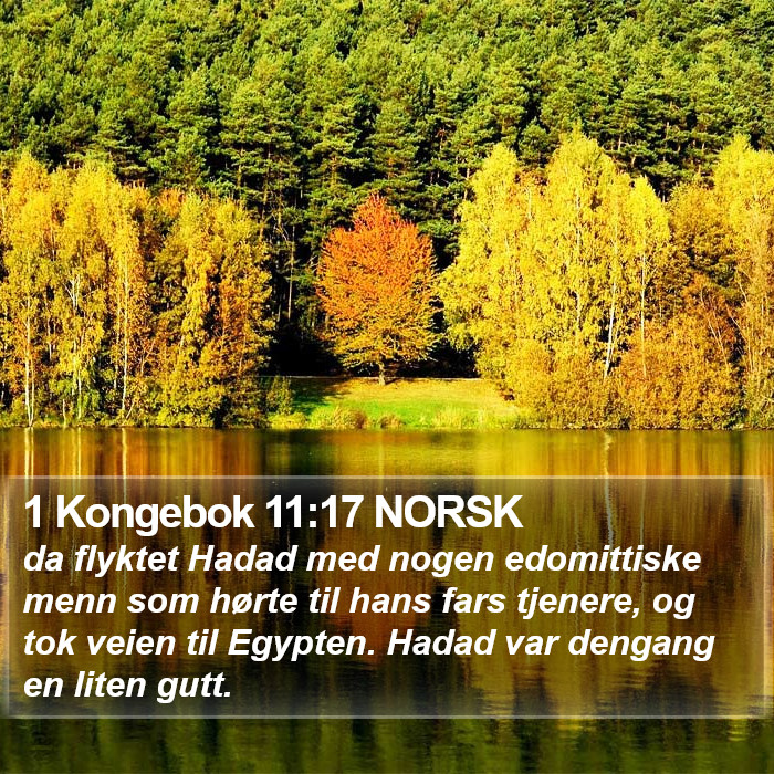 1 Kongebok 11:17 NORSK Bible Study