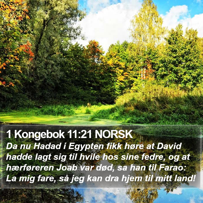 1 Kongebok 11:21 NORSK Bible Study