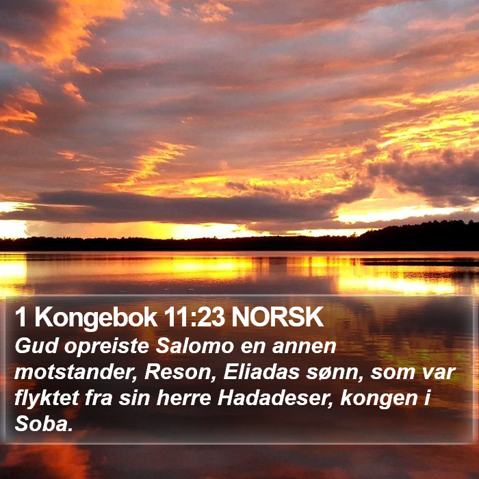 1 Kongebok 11:23 NORSK Bible Study