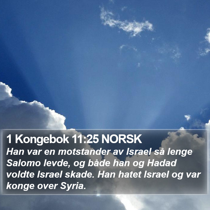 1 Kongebok 11:25 NORSK Bible Study