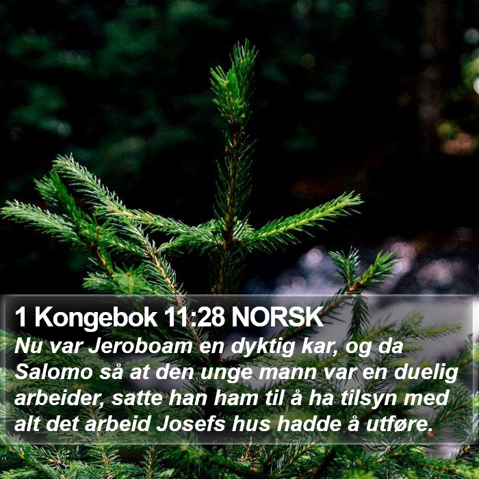 1 Kongebok 11:28 NORSK Bible Study