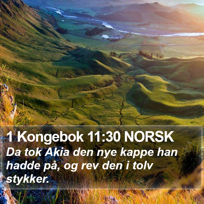 1 Kongebok 11:30 NORSK Bible Study