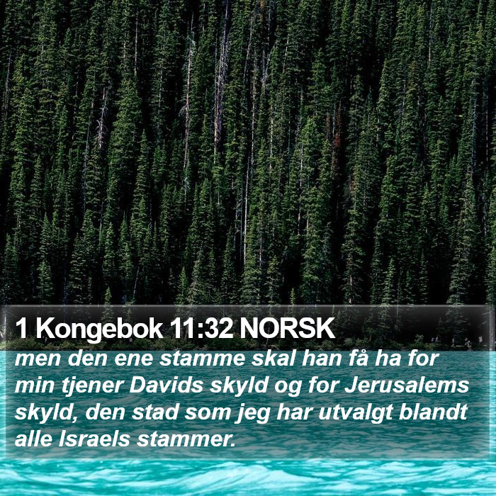 1 Kongebok 11:32 NORSK Bible Study