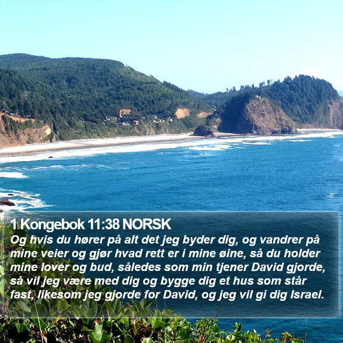 1 Kongebok 11:38 NORSK Bible Study