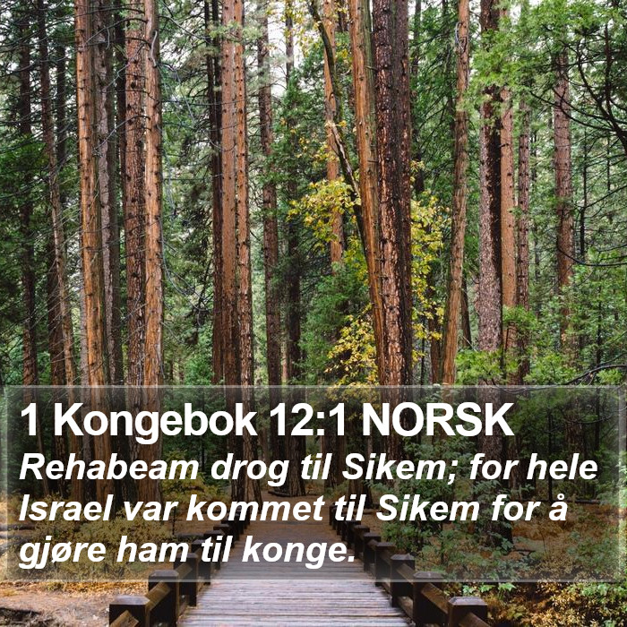 1 Kongebok 12:1 NORSK Bible Study