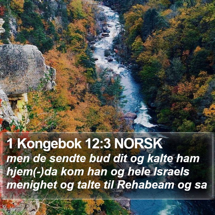 1 Kongebok 12:3 NORSK Bible Study