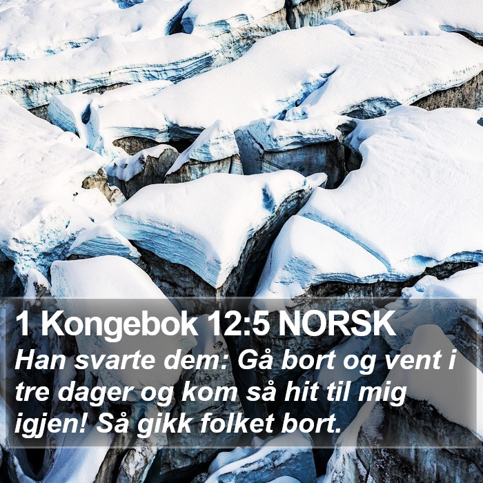 1 Kongebok 12:5 NORSK Bible Study