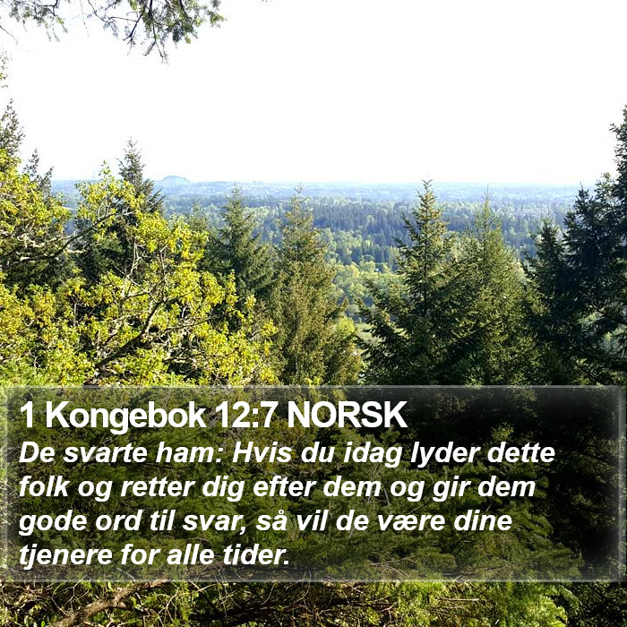 1 Kongebok 12:7 NORSK Bible Study