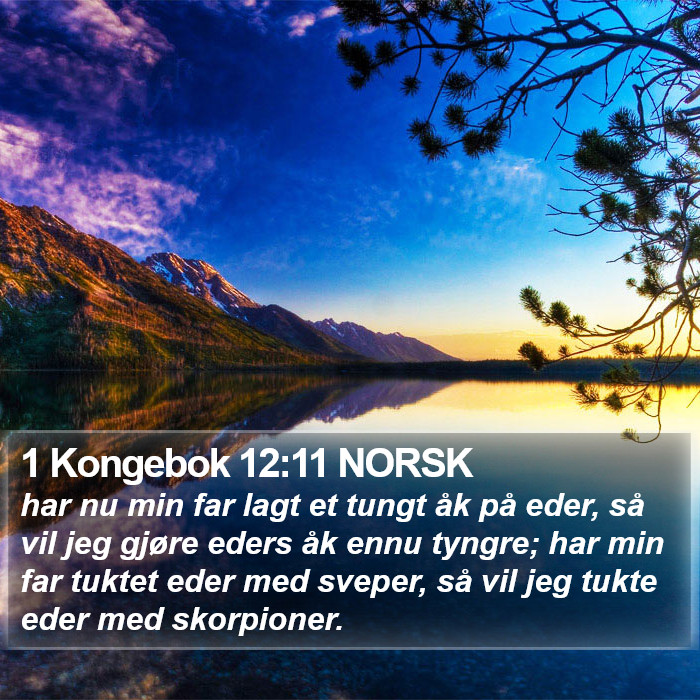 1 Kongebok 12:11 NORSK Bible Study