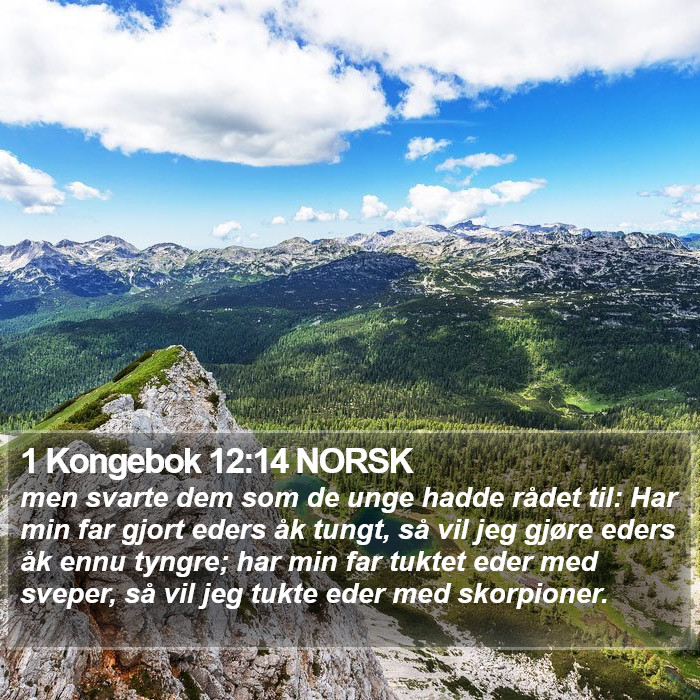 1 Kongebok 12:14 NORSK Bible Study