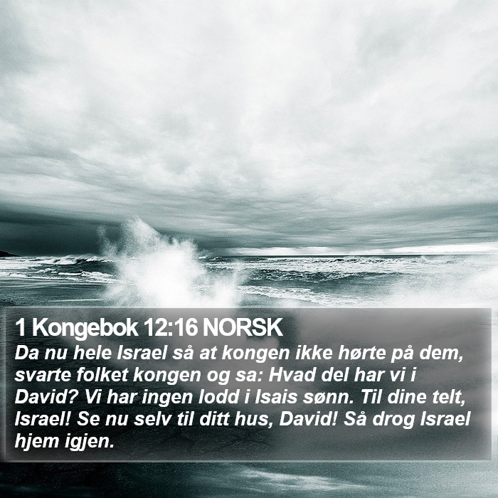 1 Kongebok 12:16 NORSK Bible Study