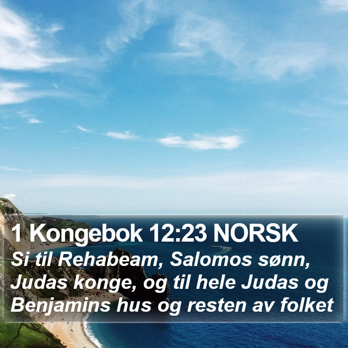 1 Kongebok 12:23 NORSK Bible Study