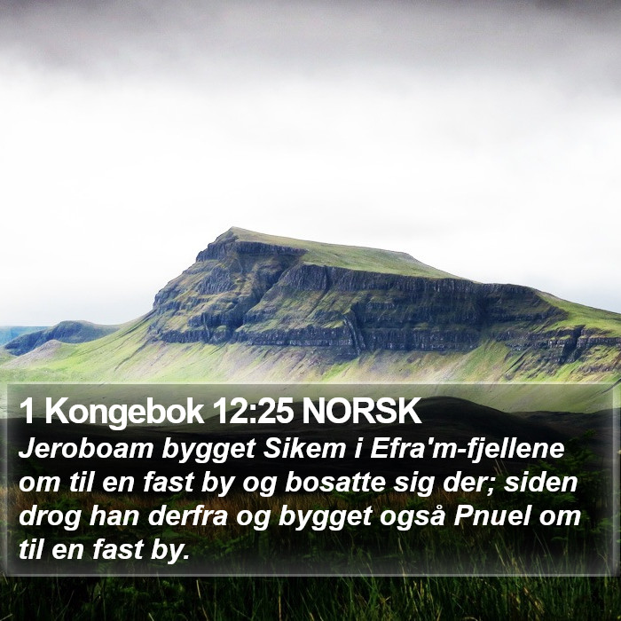 1 Kongebok 12:25 NORSK Bible Study