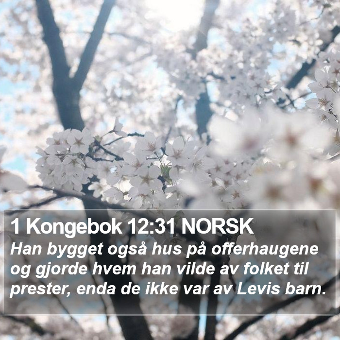 1 Kongebok 12:31 NORSK Bible Study