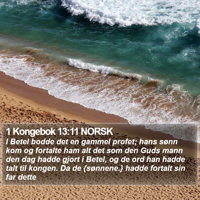 1 Kongebok 13:11 NORSK Bible Study