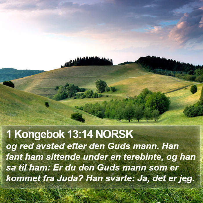 1 Kongebok 13:14 NORSK Bible Study