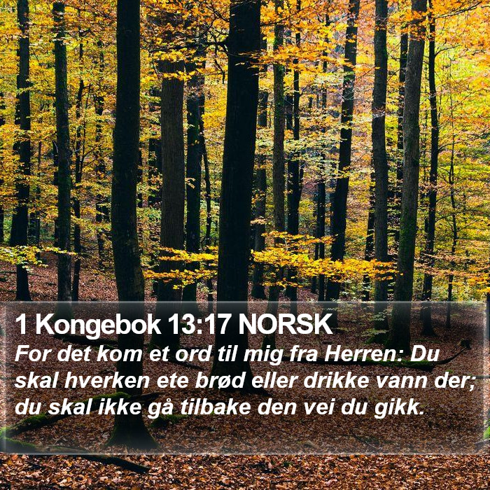 1 Kongebok 13:17 NORSK Bible Study