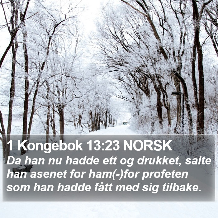 1 Kongebok 13:23 NORSK Bible Study