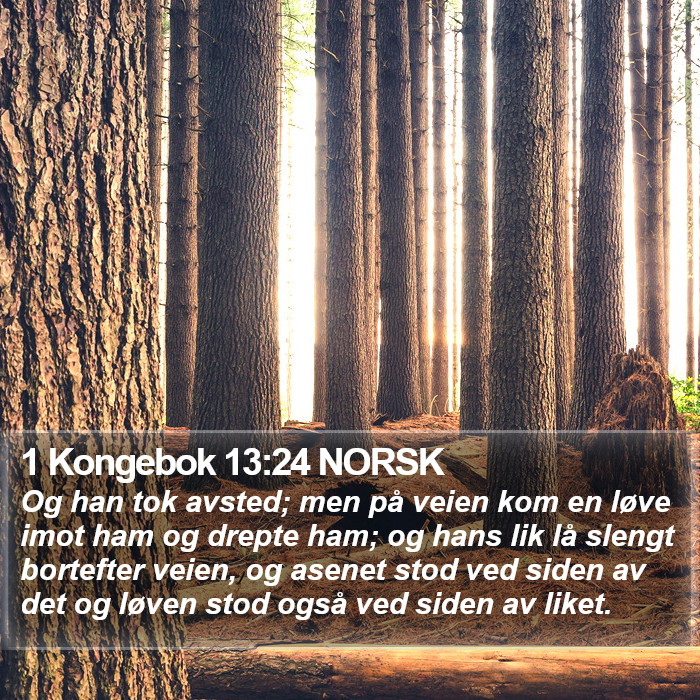 1 Kongebok 13:24 NORSK Bible Study