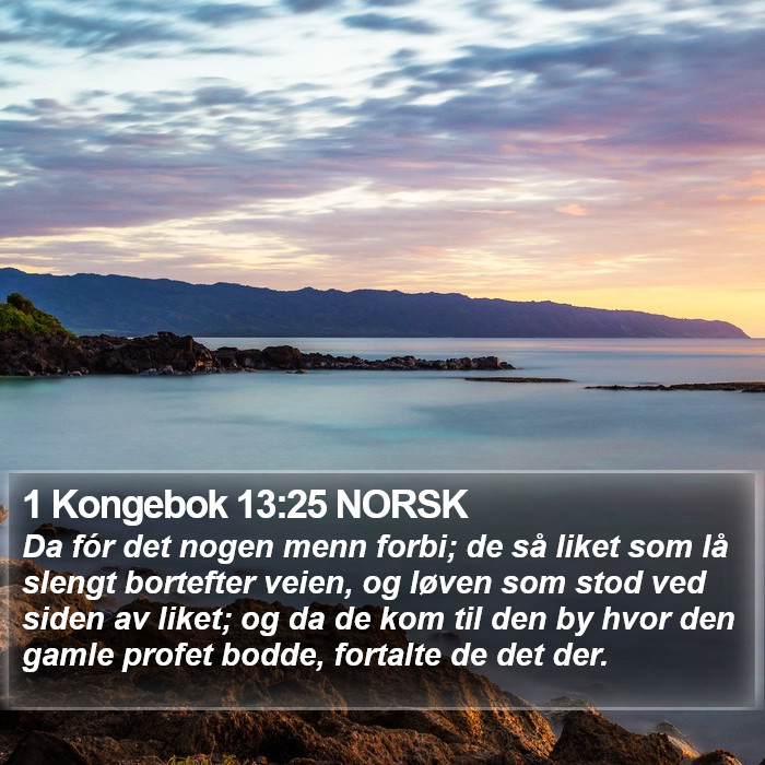 1 Kongebok 13:25 NORSK Bible Study