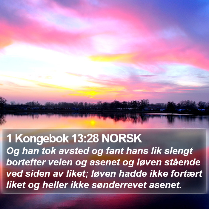 1 Kongebok 13:28 NORSK Bible Study