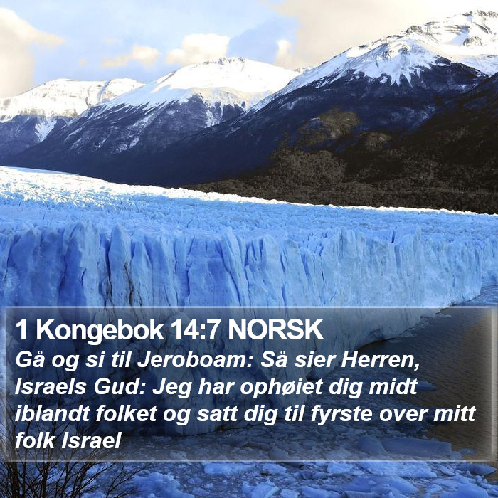 1 Kongebok 14:7 NORSK Bible Study