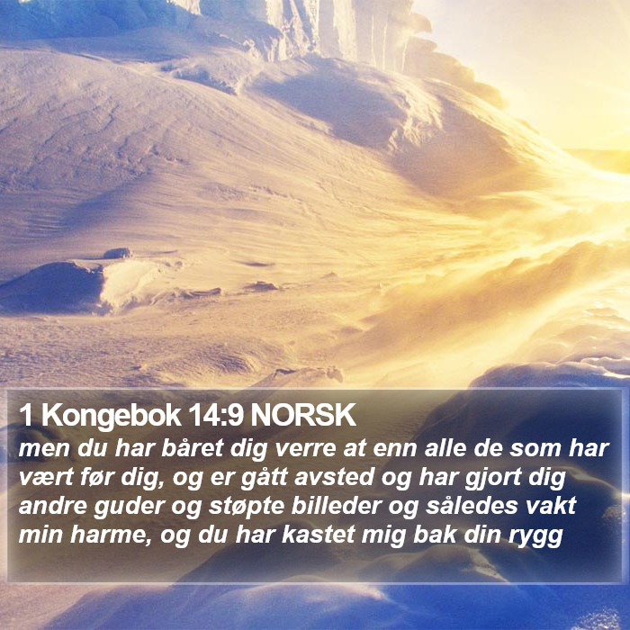 1 Kongebok 14:9 NORSK Bible Study