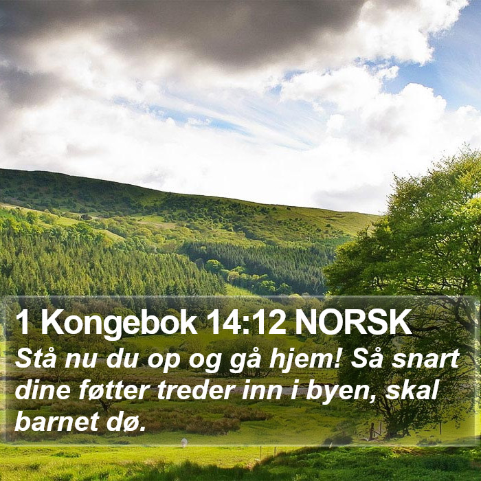 1 Kongebok 14:12 NORSK Bible Study