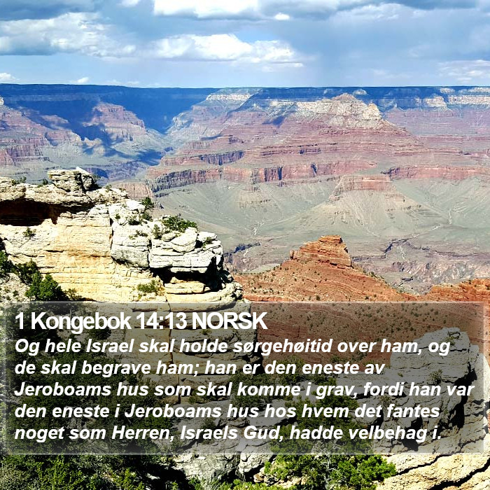 1 Kongebok 14:13 NORSK Bible Study