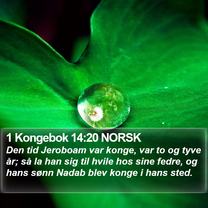 1 Kongebok 14:20 NORSK Bible Study