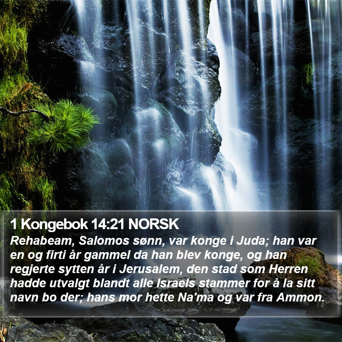 1 Kongebok 14:21 NORSK Bible Study