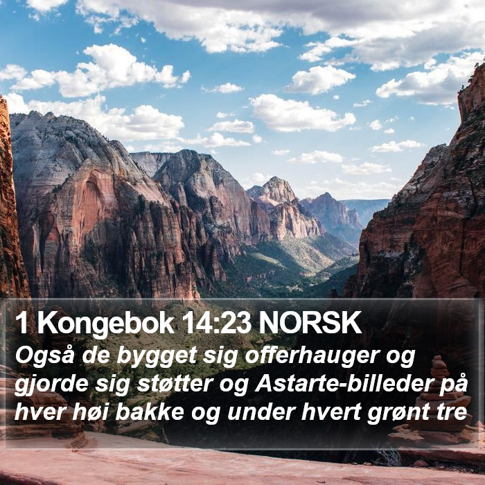 1 Kongebok 14:23 NORSK Bible Study