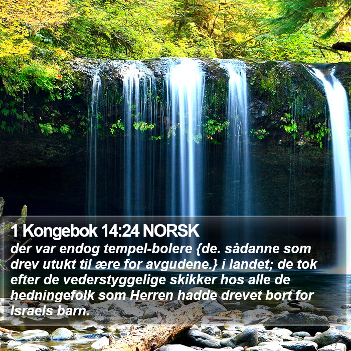 1 Kongebok 14:24 NORSK Bible Study