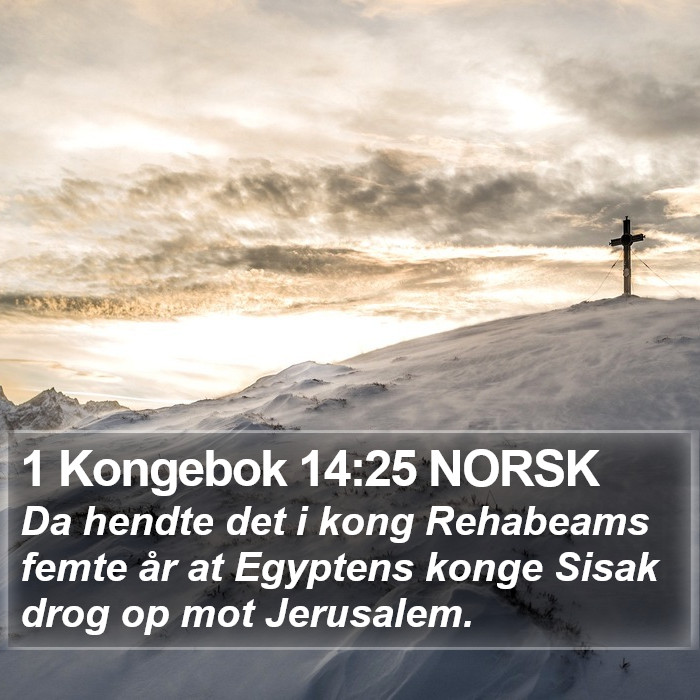 1 Kongebok 14:25 NORSK Bible Study