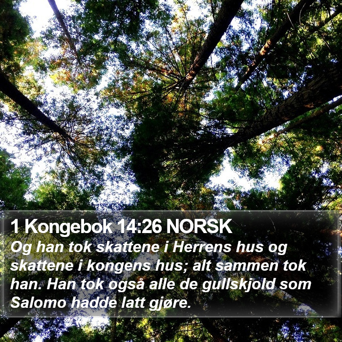 1 Kongebok 14:26 NORSK Bible Study