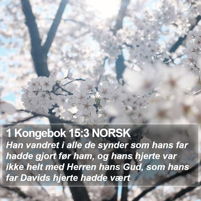 1 Kongebok 15:3 NORSK Bible Study