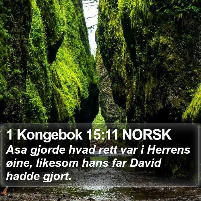 1 Kongebok 15:11 NORSK Bible Study