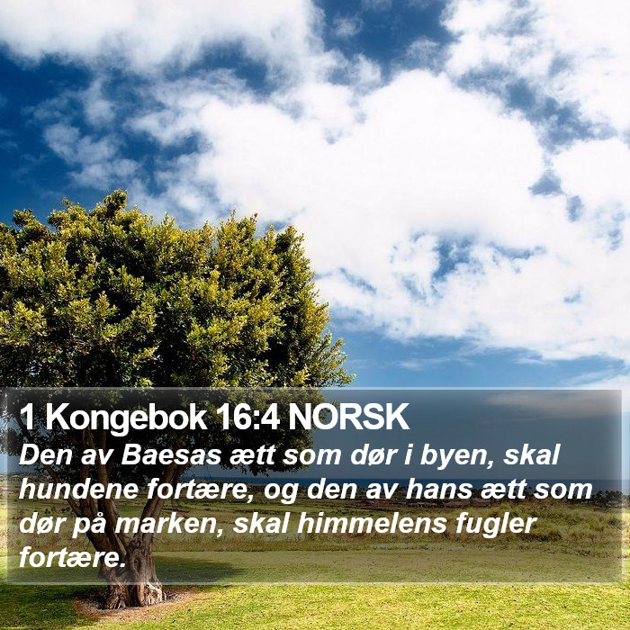 1 Kongebok 16:4 NORSK Bible Study