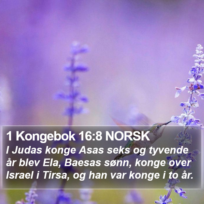 1 Kongebok 16:8 NORSK Bible Study