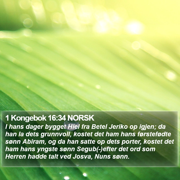 1 Kongebok 16:34 NORSK Bible Study