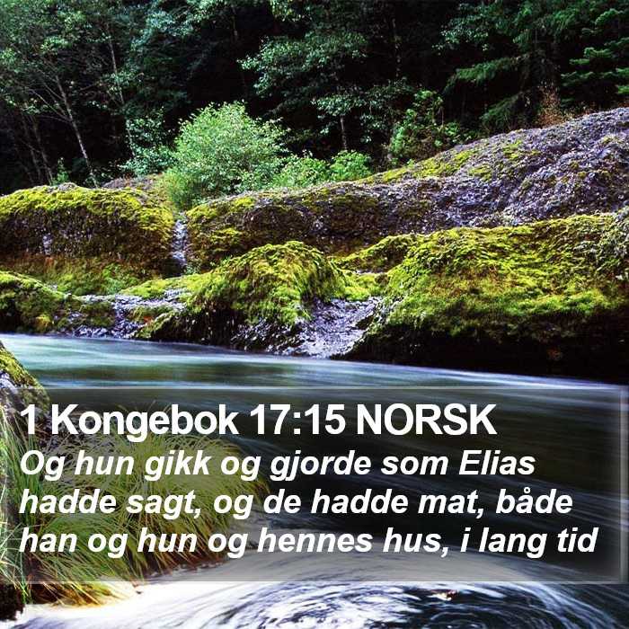 1 Kongebok 17:15 NORSK Bible Study