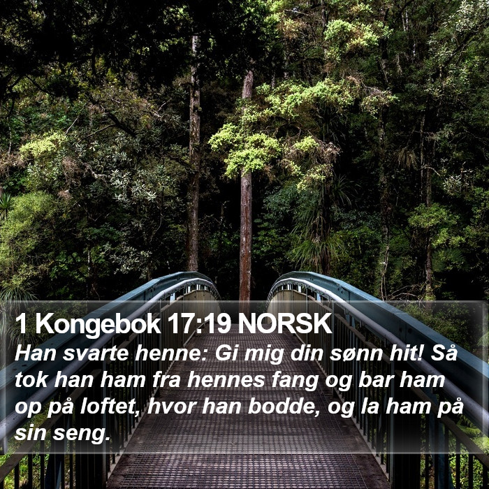 1 Kongebok 17:19 NORSK Bible Study