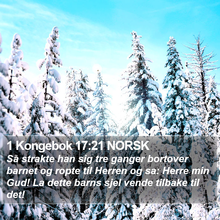 1 Kongebok 17:21 NORSK Bible Study