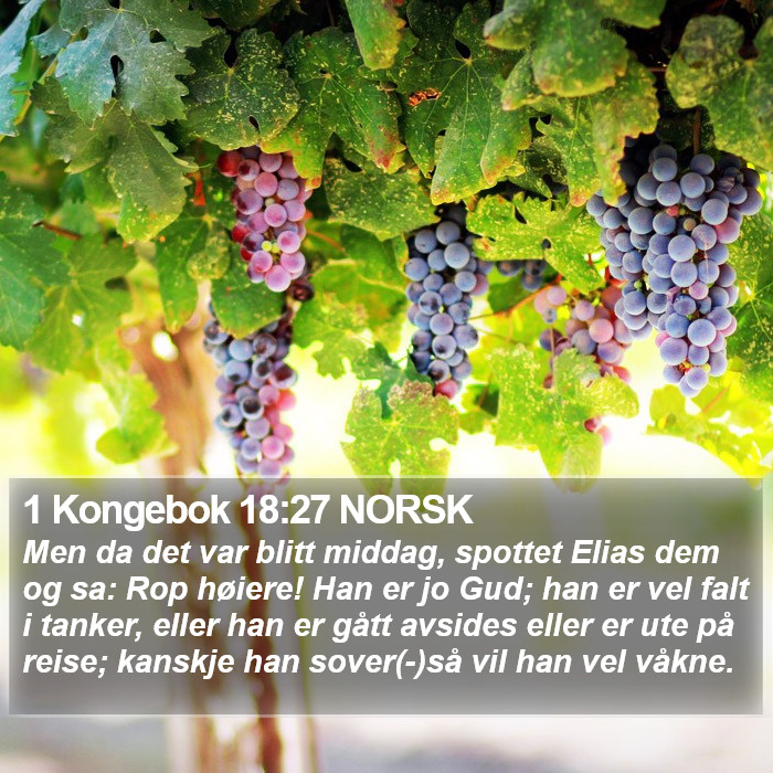 1 Kongebok 18:27 NORSK Bible Study