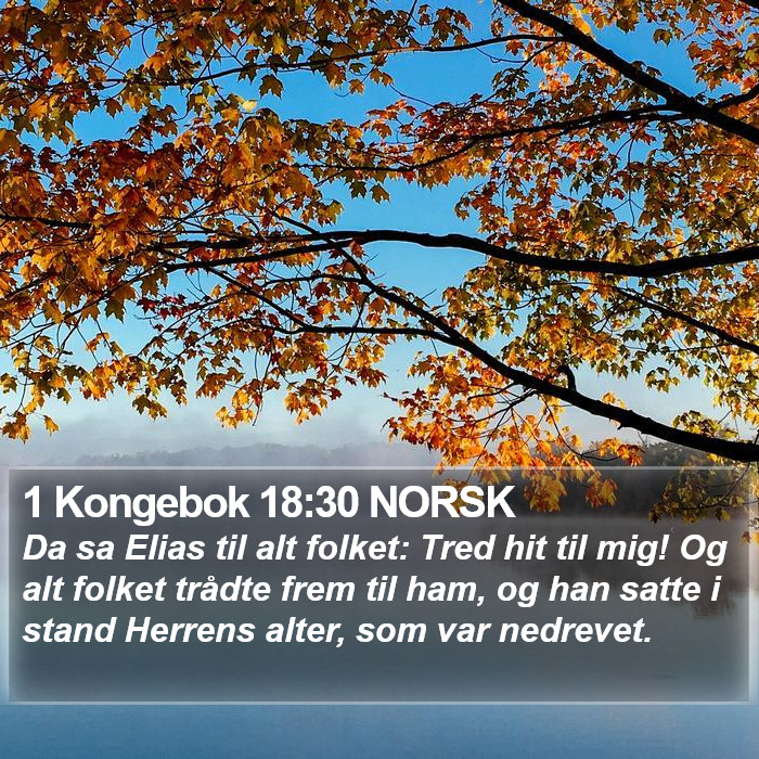 1 Kongebok 18:30 NORSK Bible Study