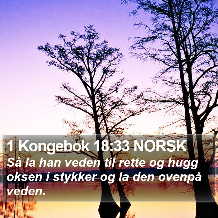 1 Kongebok 18:33 NORSK Bible Study